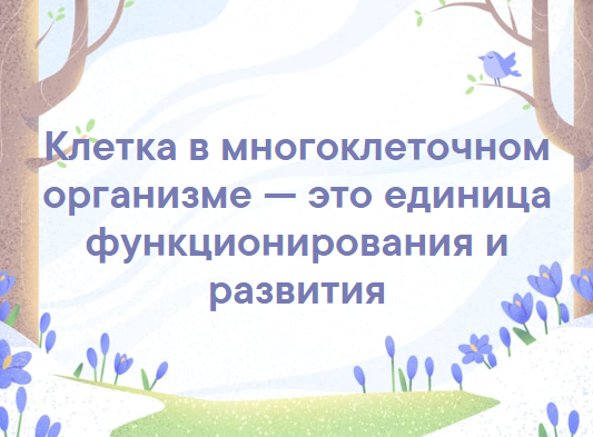 в чем заключается клеточная теория. Смотреть фото в чем заключается клеточная теория. Смотреть картинку в чем заключается клеточная теория. Картинка про в чем заключается клеточная теория. Фото в чем заключается клеточная теория