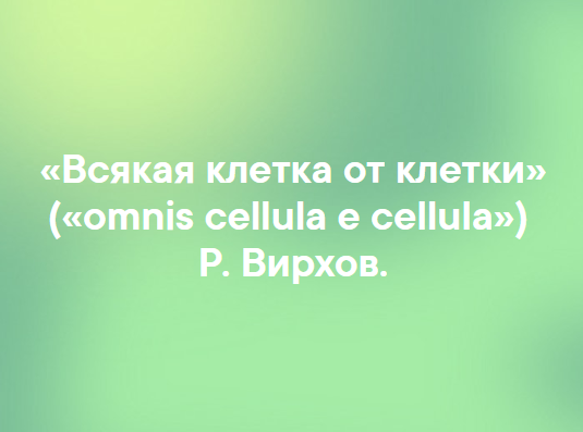 в чем заключается клеточная теория. Смотреть фото в чем заключается клеточная теория. Смотреть картинку в чем заключается клеточная теория. Картинка про в чем заключается клеточная теория. Фото в чем заключается клеточная теория