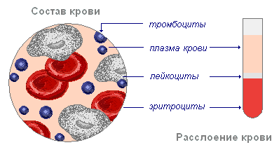 Среда грм состав