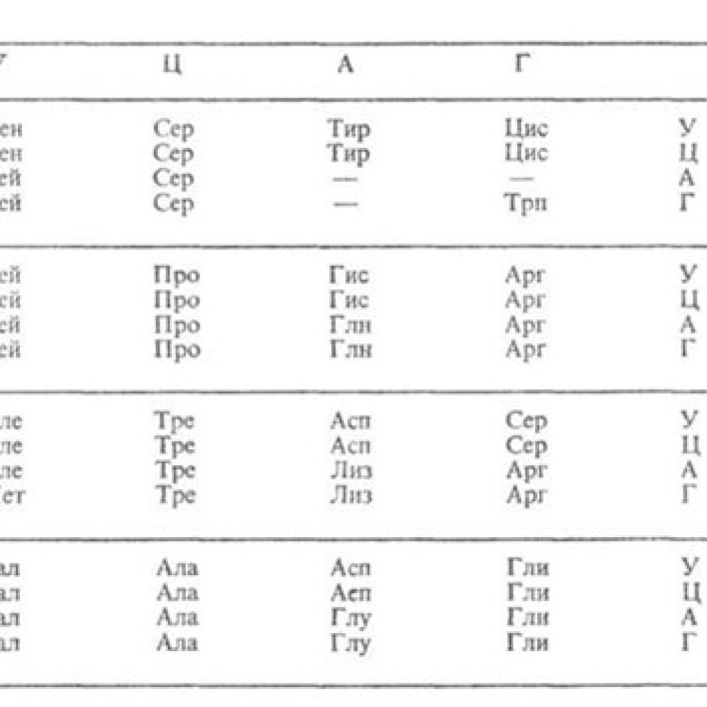 Про ала фен. Таблица генетического кода Лиз. Таблица генетического кода по биологии. Генетический код ИРНК таблица. Мет в таблице генетического кода.