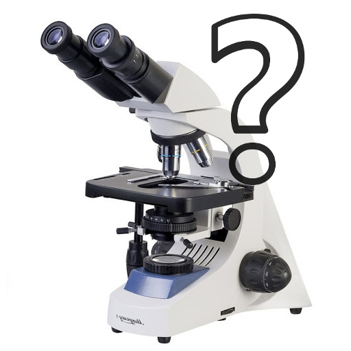 Как выбрать микроскоп