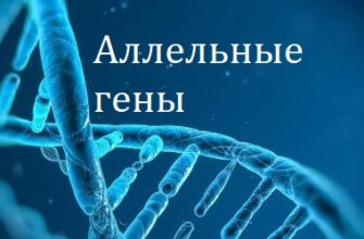 Аллельные гены