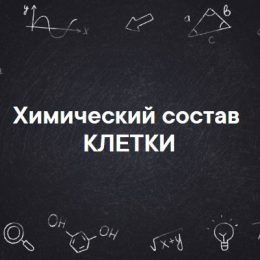 Химический состав клетки