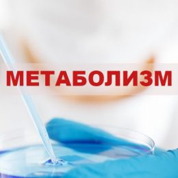 Метаболизм