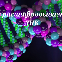 Как расшифровывается ДНК