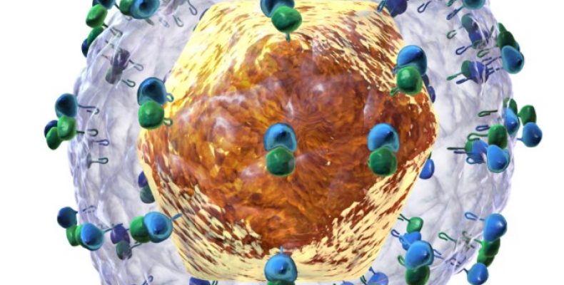 Гепатит С как передается способы заражения гепатитом С