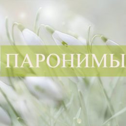 Паронимы