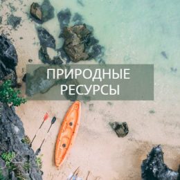 Природные ресурсы Земли — что это и какие виды природных ресурсов бывают