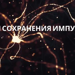 Закон сохранения импульса